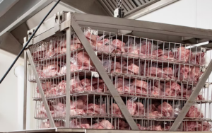 sous-vide-meat-packages Supreme Cuisine